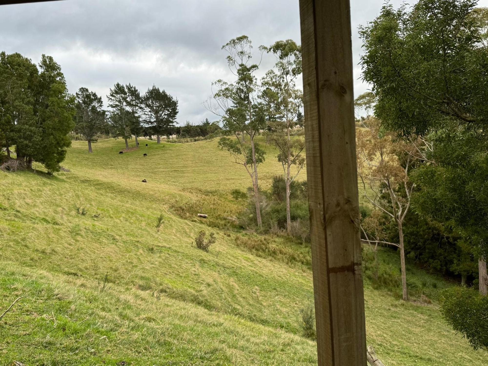Private Cabin Close To The City Centre Whangarei Exterior foto
