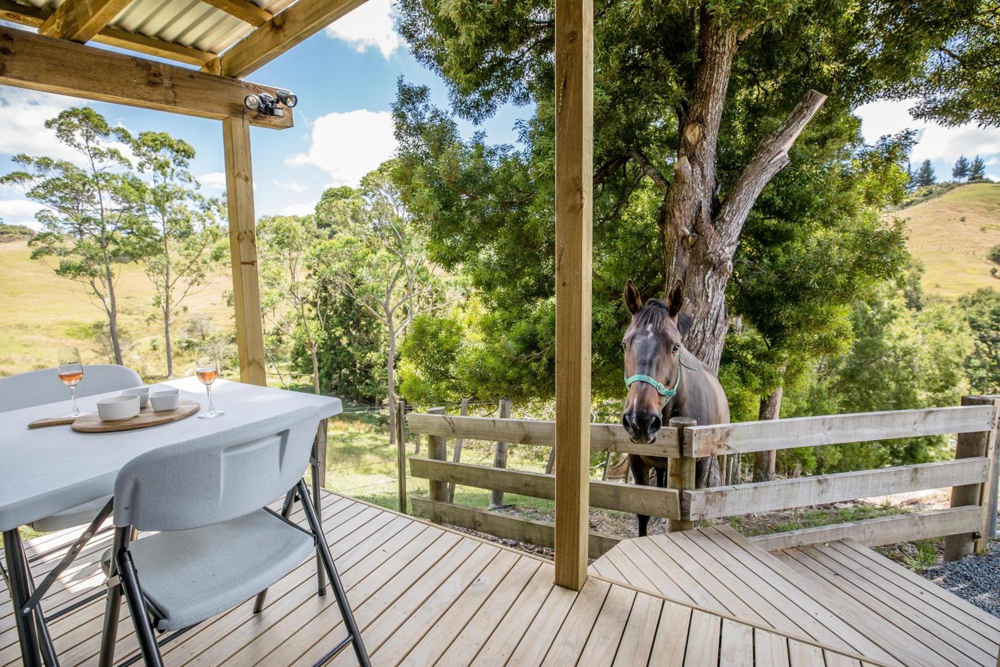 Private Cabin Close To The City Centre Whangarei Exterior foto